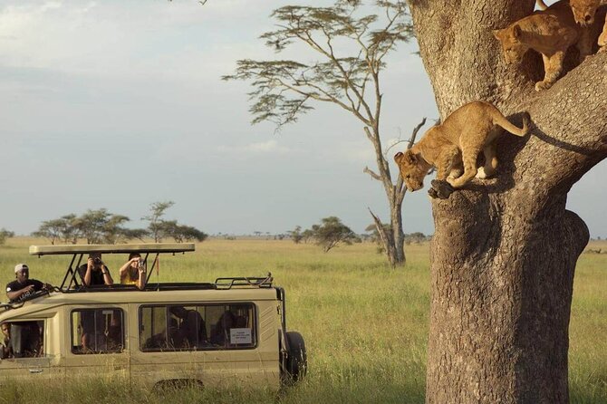 3 Days Safari to Serengeti National Park & Ngorongoro Crater in Tanzania - Day one: a long road into the Serengeti