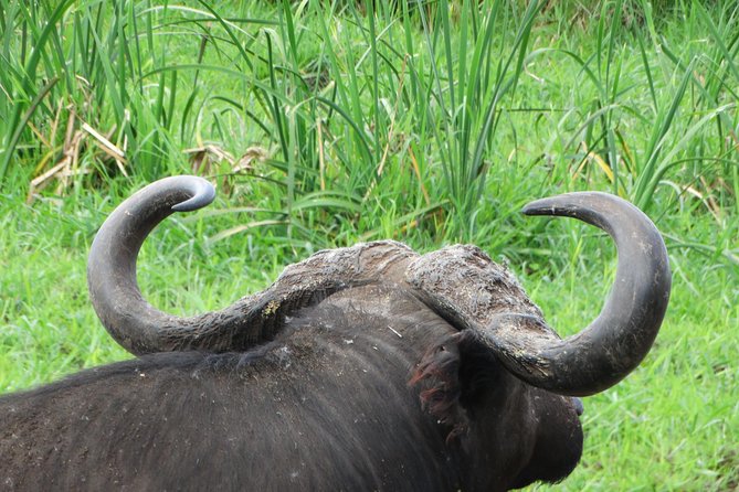 3 Days Safari to Tarangire NP, Ngorongoro Crater and Lake Manyara NP - Why this three-day route works