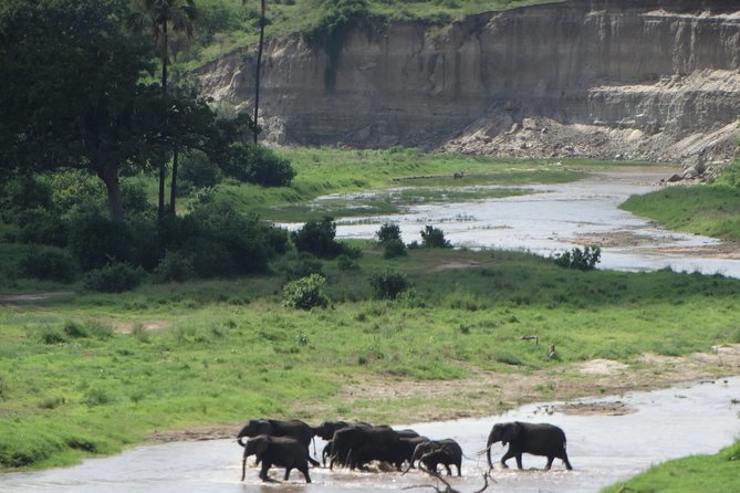 3 Days Safari to Tarangire NP, Ngorongoro Crater and Lake Manyara NP - The guide and vehicle matter more than the brochure