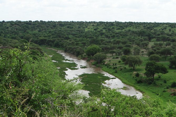 3 Days Safari to Tarangire NP, Ngorongoro Crater and Lake Manyara NP - Who should book this safari