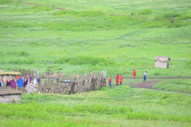 3 Days Serengeti & Ngorongoro Crater group safari - What $800 buys you in three days