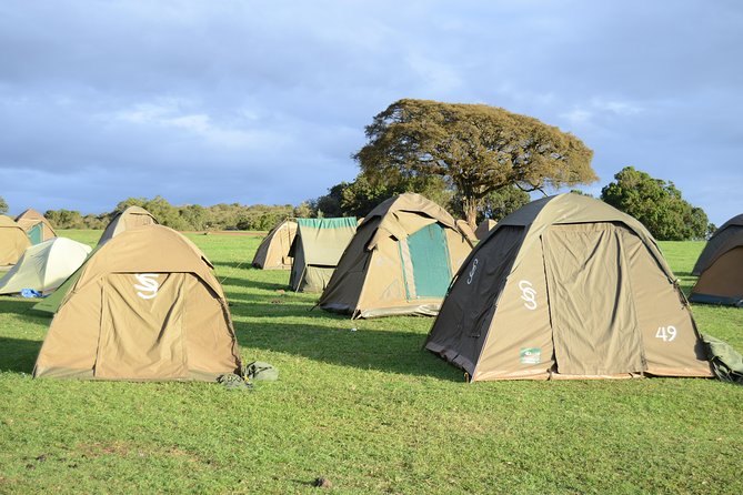 3 Days Serengeti & Ngorongoro Crater group safari - Food, drinks, and camping expectations