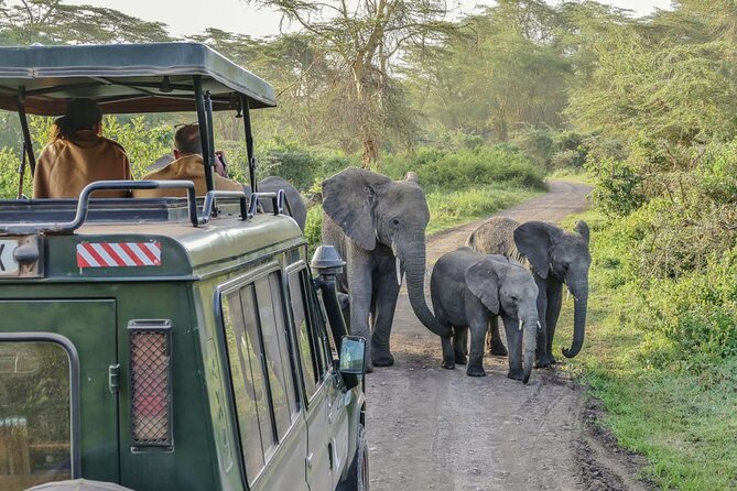 3 Days Serengeti Park & Ngorongoro Crater Adventure Safari - Day Two: Dawn Wildlife and the Route to the Crater Rim