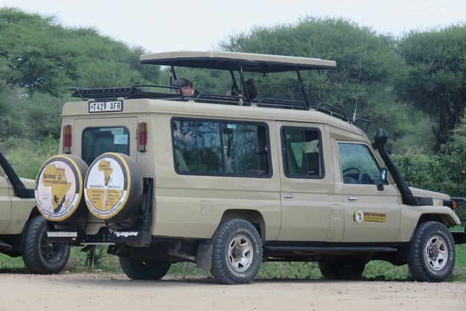 3 Days Tanzania group join safari - Serengeti & Ngorongoro crater - Who should book this safari?