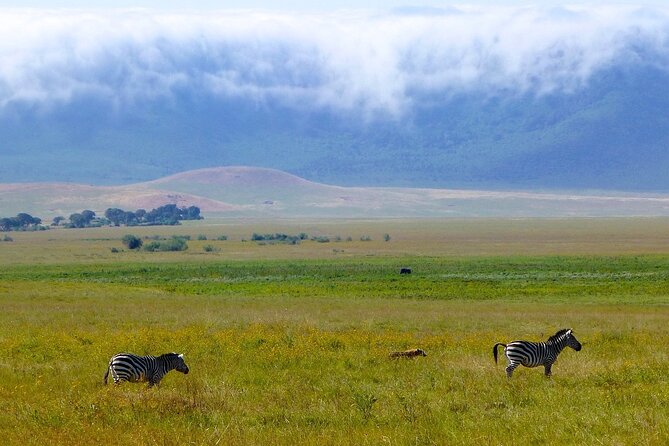 3 Days Tanzania Safari: Tarangire, Manyara and Ngorongoro Crater - Three parks in three days