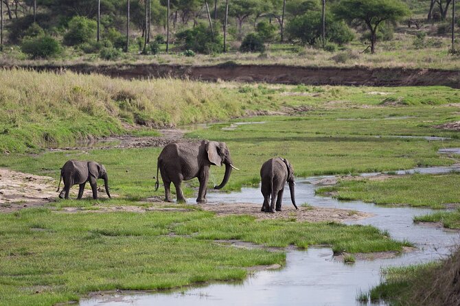 3 Days Tanzania Safari: Tarangire, Manyara and Ngorongoro Crater - What the $998.65 price covers