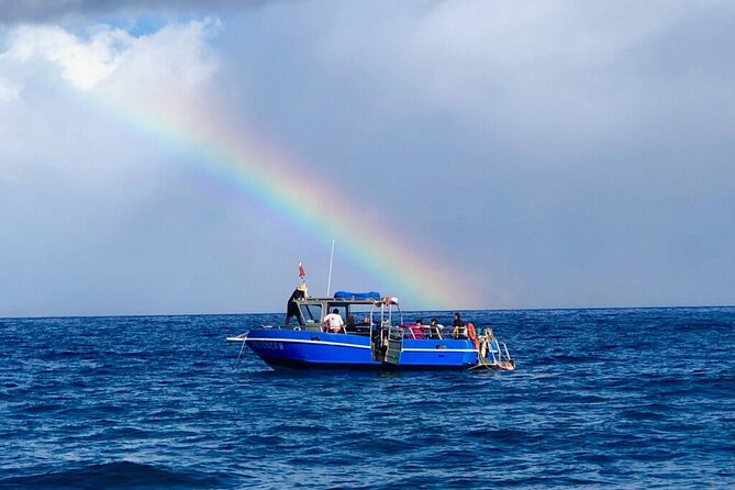 3-Tank Dive Featuring the Molokini Crater - Why This Maui Scuba Trip Is Different