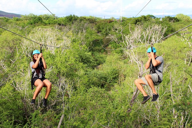3 Zipline Adventure at Coral Crater with Optional Waikiki Shuttle - Oahu views, plants, and the park setting