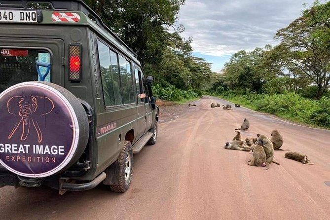 3days Serengeti National park and Ngorongoro Crater Tanzania Safari - Why the Serengeti is worth the long drive