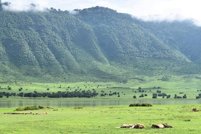 3days Serengeti National park and Ngorongoro Crater Tanzania Safari - Day 1: The long road from Arusha to Serengeti