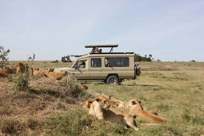 4 Day Great Migration Safari Serengeti & Ngorongoro Crater - The private jeep and guide make the difference