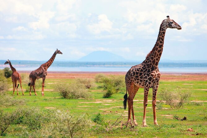 4 Day Great Migration Safari Serengeti & Ngorongoro Crater - What the physical side is really like