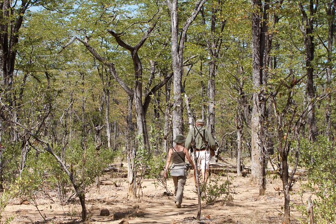 4-Day Group Safari to Tarangire, Serengeti & Ngorongoro Crater - Day 2: Crossing Ngorongoro toward the Serengeti