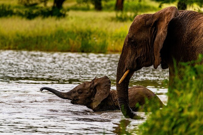 4-Day Group Safari to Tarangire, Serengeti & Ngorongoro Crater - The small-group advantage and communication