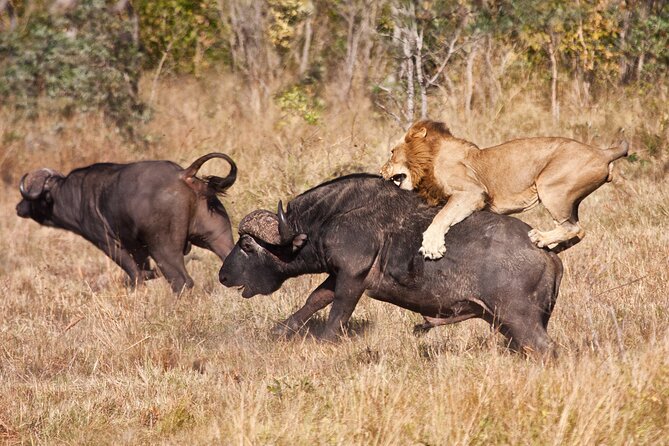 4-Day Group Safari to Tarangire, Serengeti & Ngorongoro Crater - What could make this trip difficult