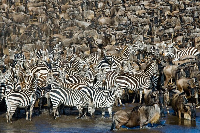 4-Day Group Safari to Tarangire, Serengeti & Ngorongoro Crater - Day 1: Tarangire’s elephants and baobab country