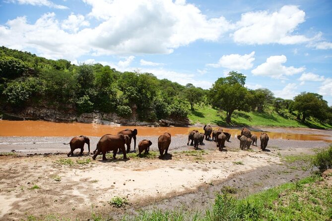 4 Day Ngorongoro Crater Tarangire and Serengeti National Park - Key points to know before booking