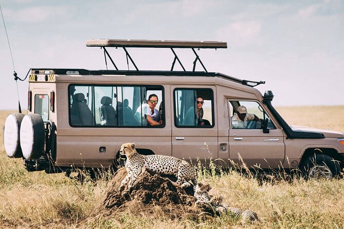 4 Day Ngorongoro Crater Tarangire and Serengeti National Park - Day four: down into Ngorongoro Crater
