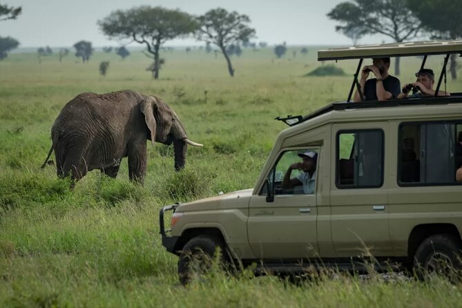 4 Day Ngorongoro Crater Tarangire and Serengeti National Park - Guides, drivers, and the human side of the trip