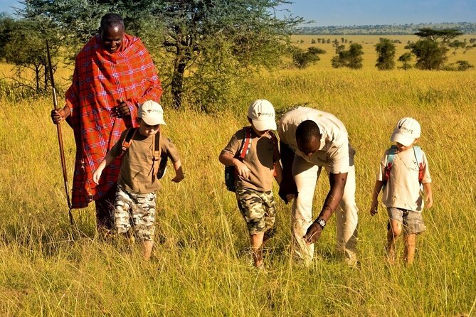 4-Day Safari to Tarangire ,Serengeti and Ngorongoro crater from Arusha - Day 4: Sunrise and the wildlife bowl of Ngorongoro