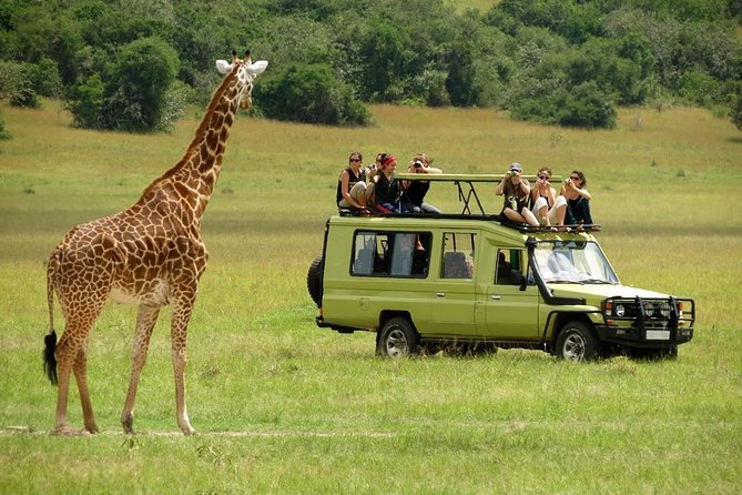 4-Day Tanzania Camping Safari to Lake Manyara, Serengeti, and Ngorongoro Crater - Why this safari offers strong value at $1,675