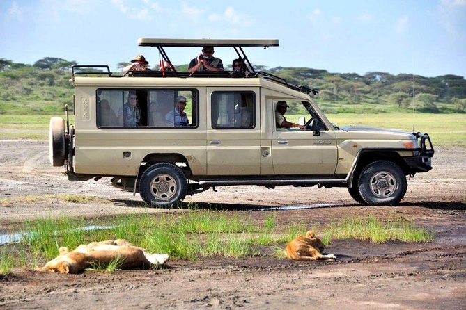 4-Day Tanzania Camping Safari to Lake Manyara, Serengeti, and Ngorongoro Crater - Day 3: Early Serengeti wildlife and the Ngorongoro rim
