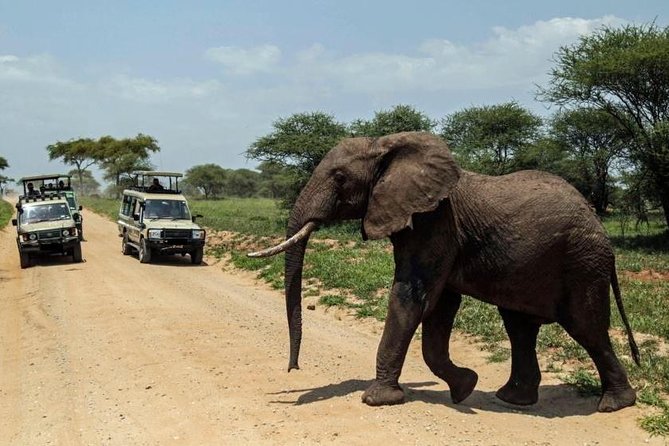 4-Day Tanzania Camping Safari to Lake Manyara, Serengeti, and Ngorongoro Crater - Camping, meals, and what you need to bring