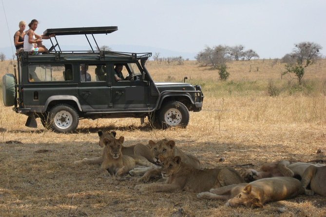 4-Day Tanzania Camping Safari to Lake Manyara, Serengeti, and Ngorongoro Crater - Guides, driving, and the small-group setup
