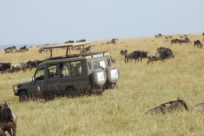 4-Day Tarangire, Serengeti, Ngorongoro Crater - Why this four-day safari works