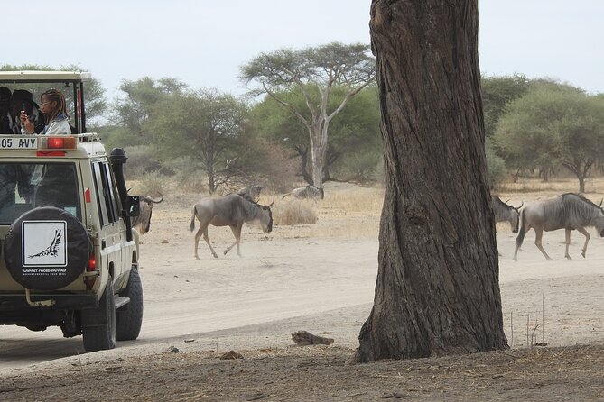 4-Day Tarangire, Serengeti, Ngorongoro Crater - Day 4: Five hours on the Ngorongoro Crater floor