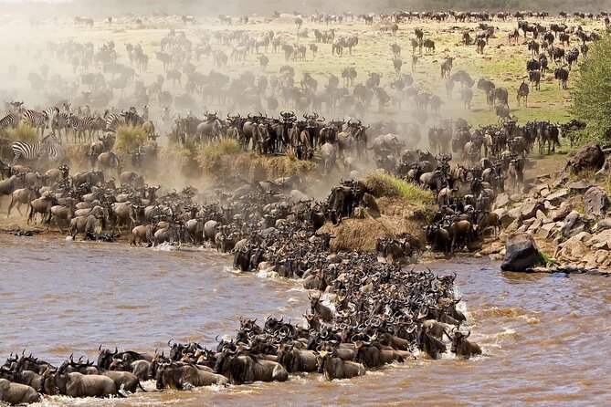 4 Day Tour in Tarangire and Serengeti and Ngorongoro Crater - Key points before you book