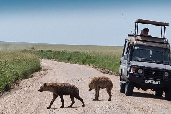 4 Day Tour in Tarangire and Serengeti and Ngorongoro Crater - What the $1,100 price really buys