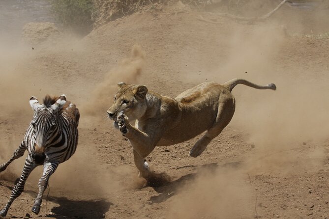 4 days 3 nights Safari- Tarangire, Serengeti and Ngorongoro Crater - Guides can make or break the experience