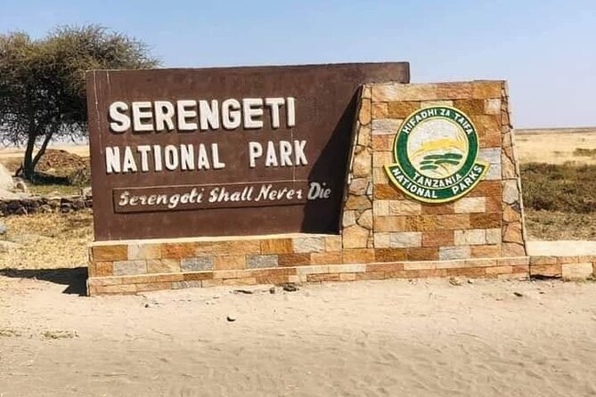 4 Days /3 nights Tarangire, Serengeti and Ngorongoro crater - Day one: elephants and baobabs in Tarangire