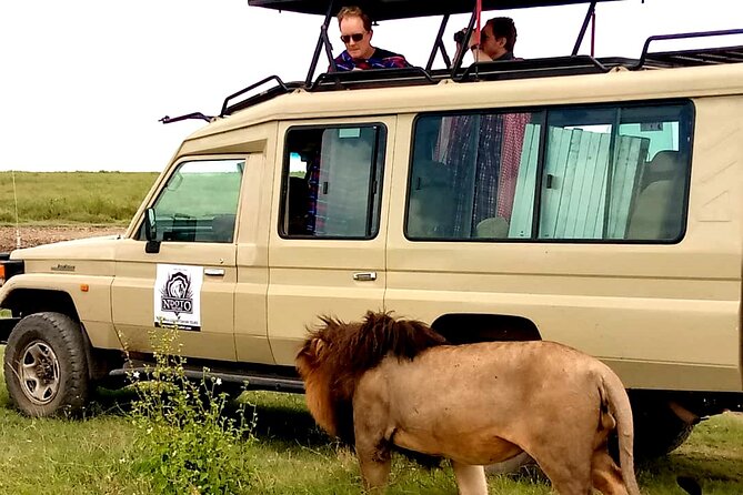 4 Days Budget Camp Safari Serengeti, Ngorongoro Crater and Tarangire Park - A fast route through Tanzania’s northern safari circuit