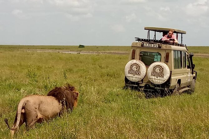 4 Days Budget Camp Safari Serengeti, Ngorongoro Crater and Tarangire Park - What $2,230 per person really covers