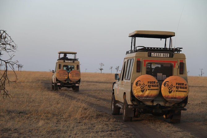 4 Days Game drives Safari Tarangire, Serengeti and Ngorongoro Crater - Day One: Elephants Along the Tarangire River