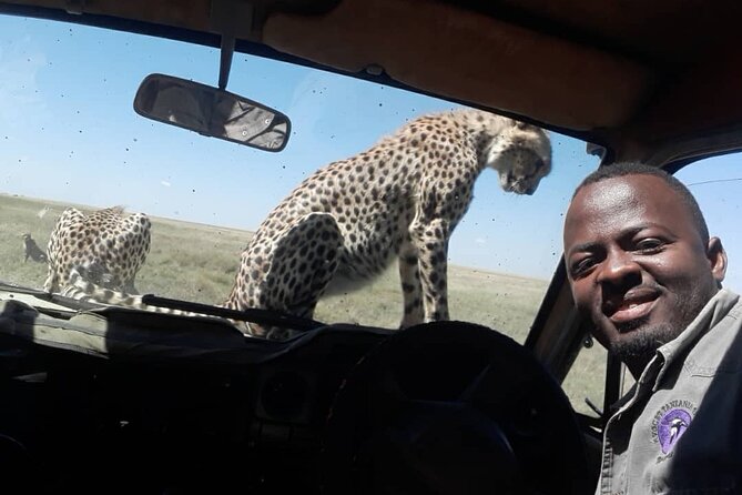 4 Days Group Joining Camping Safari to Tarangire Serengeti Ngorongoro Crater - Day 3: More Serengeti, then a night above Ngorongoro