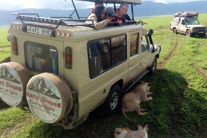 4 Days Join Group tour Tarangire Serengeti and Ngorongoro crater - Day four: descending into Ngorongoro Crater