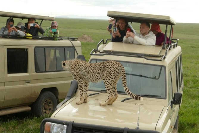 4 Days Join Group tour Tarangire Serengeti and Ngorongoro crater - The guide makes the difference
