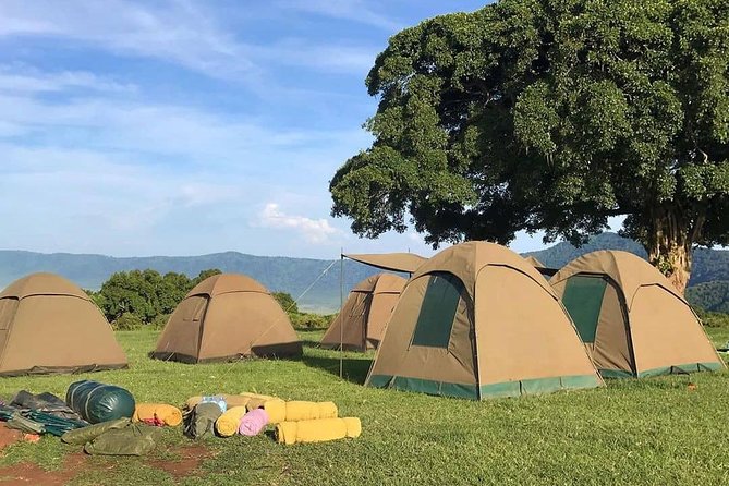 4 Days Join Group tour Tarangire Serengeti and Ngorongoro crater - Who should book this four-day route?