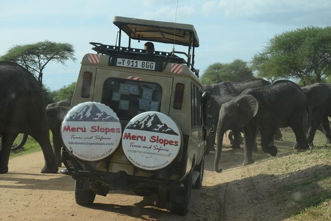 4 Days Join Group tour Tarangire Serengeti and Ngorongoro crater - Day one: elephants and dry-country wildlife in Tarangire
