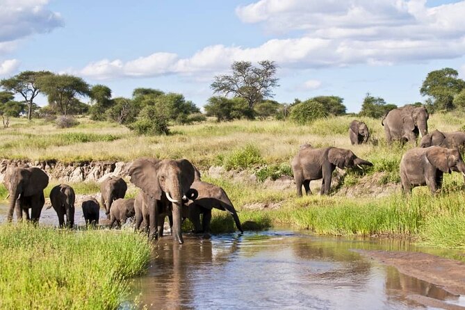 4 Days Lake Manyara National Park, Ngorongoro Crater , Serengeti National Park. - Day 1: A practical start at Kilimanjaro Airport