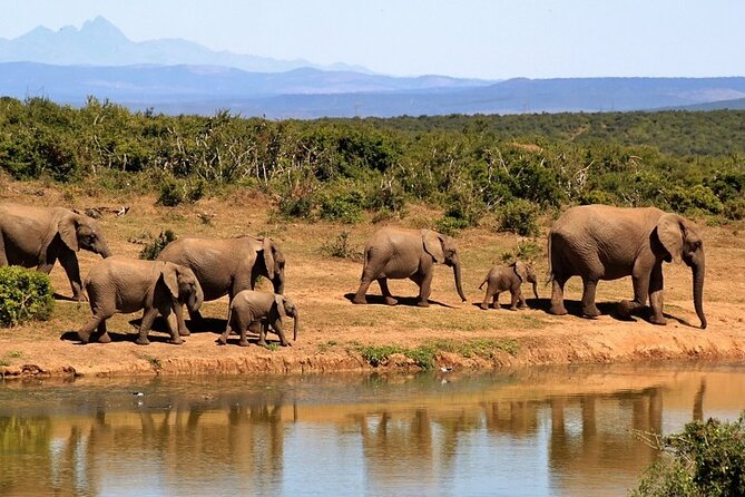 4 Days - Lake Manyara, Serengeti and Ngorongoro Crater - Key points at a glance