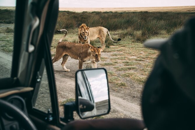 4 Days Lodge Safari in Lake Manyara, Serengeti & Ngorongoro Crater - Day 1: Lake Manyara’s lake shore and Rift Valley edge