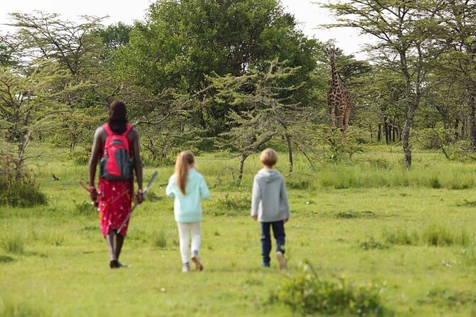 4 Days lodge safari Tarangire , Ngorongoro crater & Walking - The trip at a glance: Arusha, Moshi, and four active days