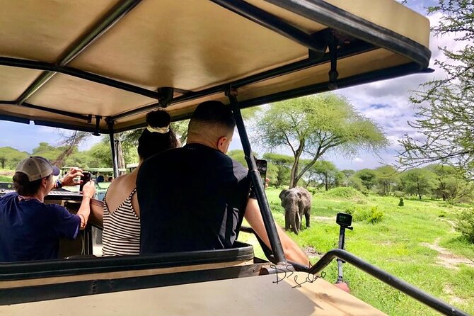 4 Days lodge safari Tarangire , Ngorongoro crater & Walking - Who should book this safari?