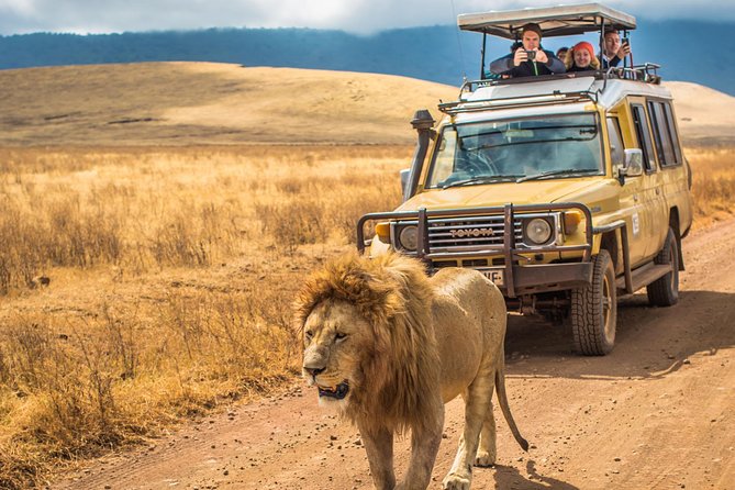 4 Days Private Safari - Tarangire, Serengeti & Ngorongoro Crater - Day two: crossing the highlands into the Serengeti