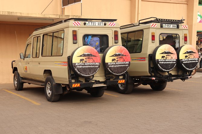 4 Days Private Safari - Tarangire, Serengeti & Ngorongoro Crater - Day four: five hours inside Ngorongoro Crater