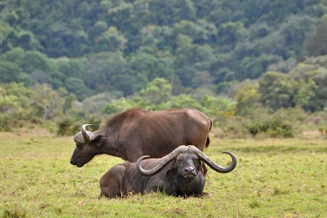4 days Safari Lake Manyara, Ngorongoro crater and Serengeti - Day one: Moshi to Lake Manyara